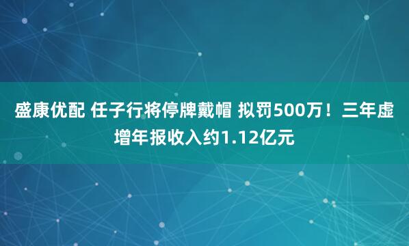盛康优配 任子行将停牌戴帽 拟罚500万！三年虚增年报收入约1.12亿元