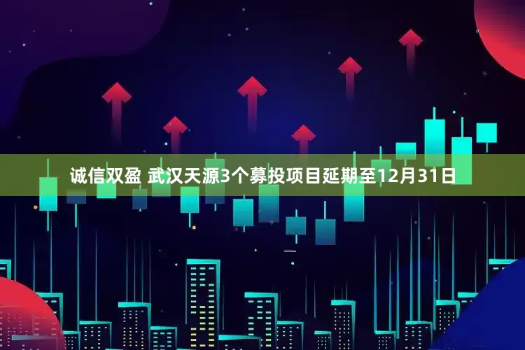 诚信双盈 武汉天源3个募投项目延期至12月31日